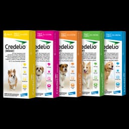 Credelio&reg; for Dogs