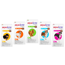 Bravecto® Chews for Dogs