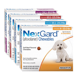 NexGard® Chewables for Dogs
