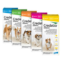 Credelio™ Chewable Tablets for Dogs