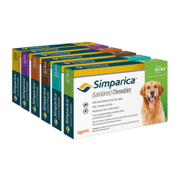 Simparica™ Chewables for Dogs